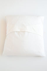 Insectology Cushion