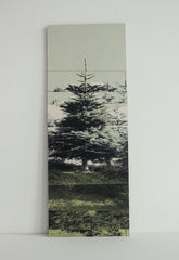 Tree for Life Panel