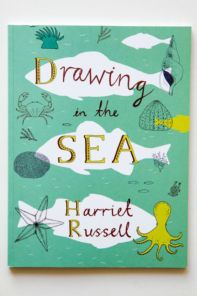 Drawing in the Sea